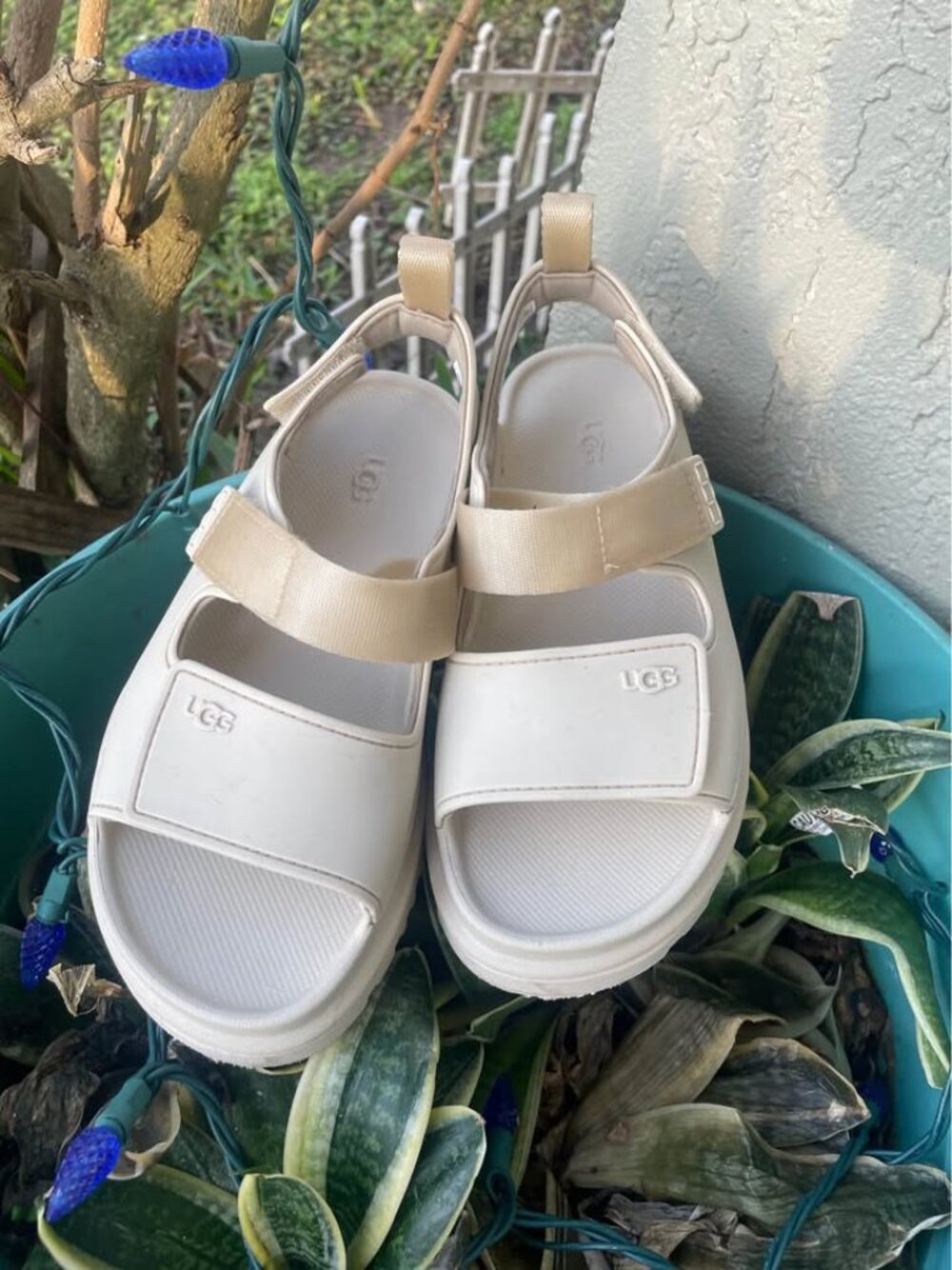 UGG Slingback Platgorms "Goldenglow" in Sea Salt